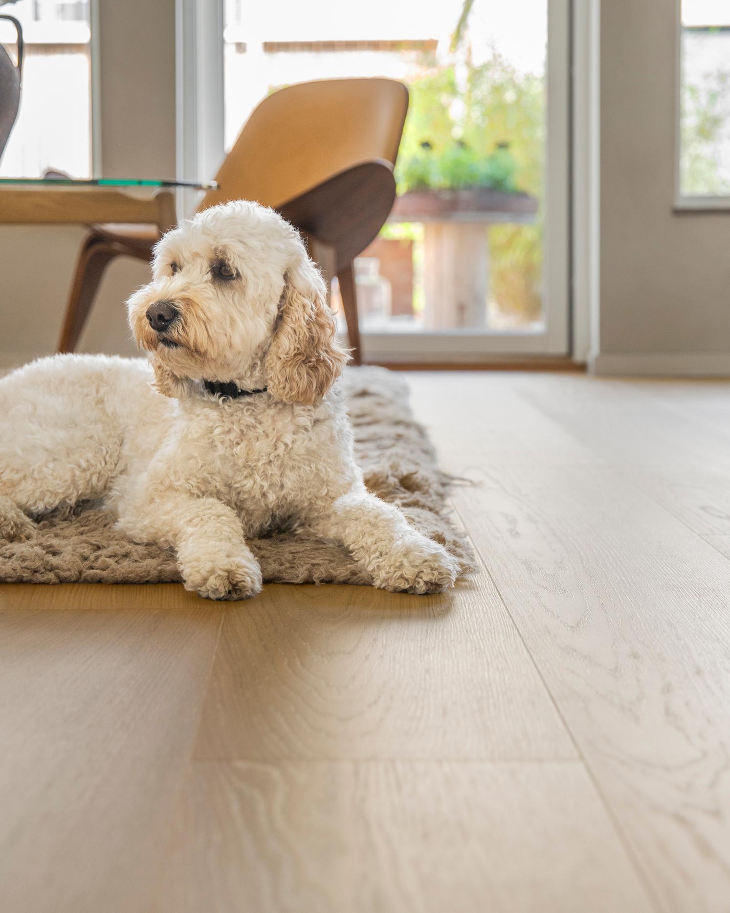 Bjelin Hardwood Woodura Plank Flooring